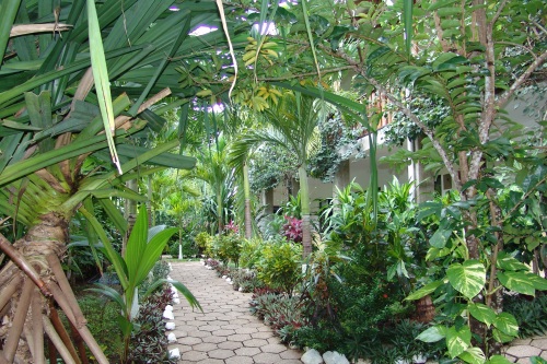 Hotel Belvedere 002